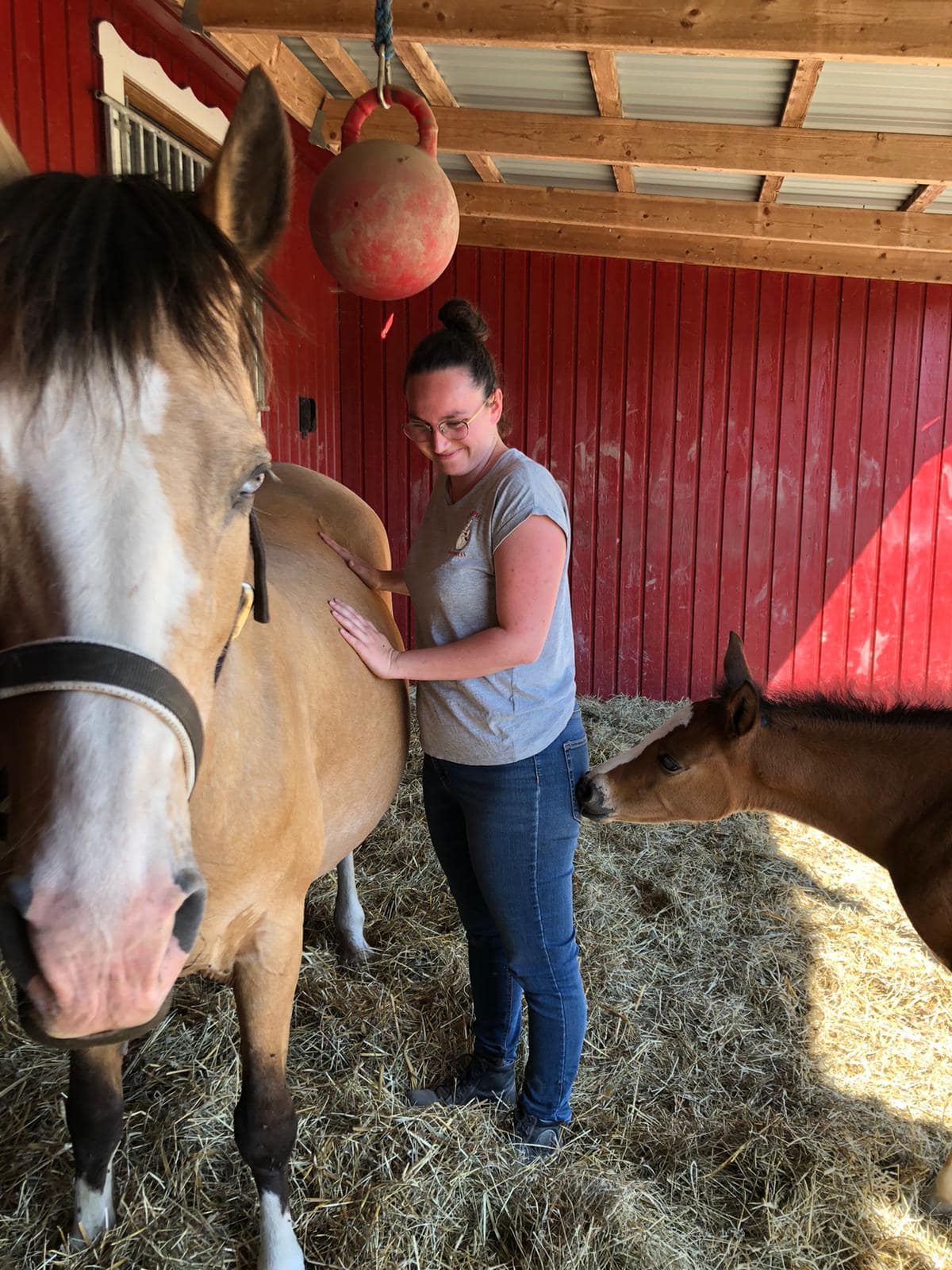 Océane en séance avec un cheval