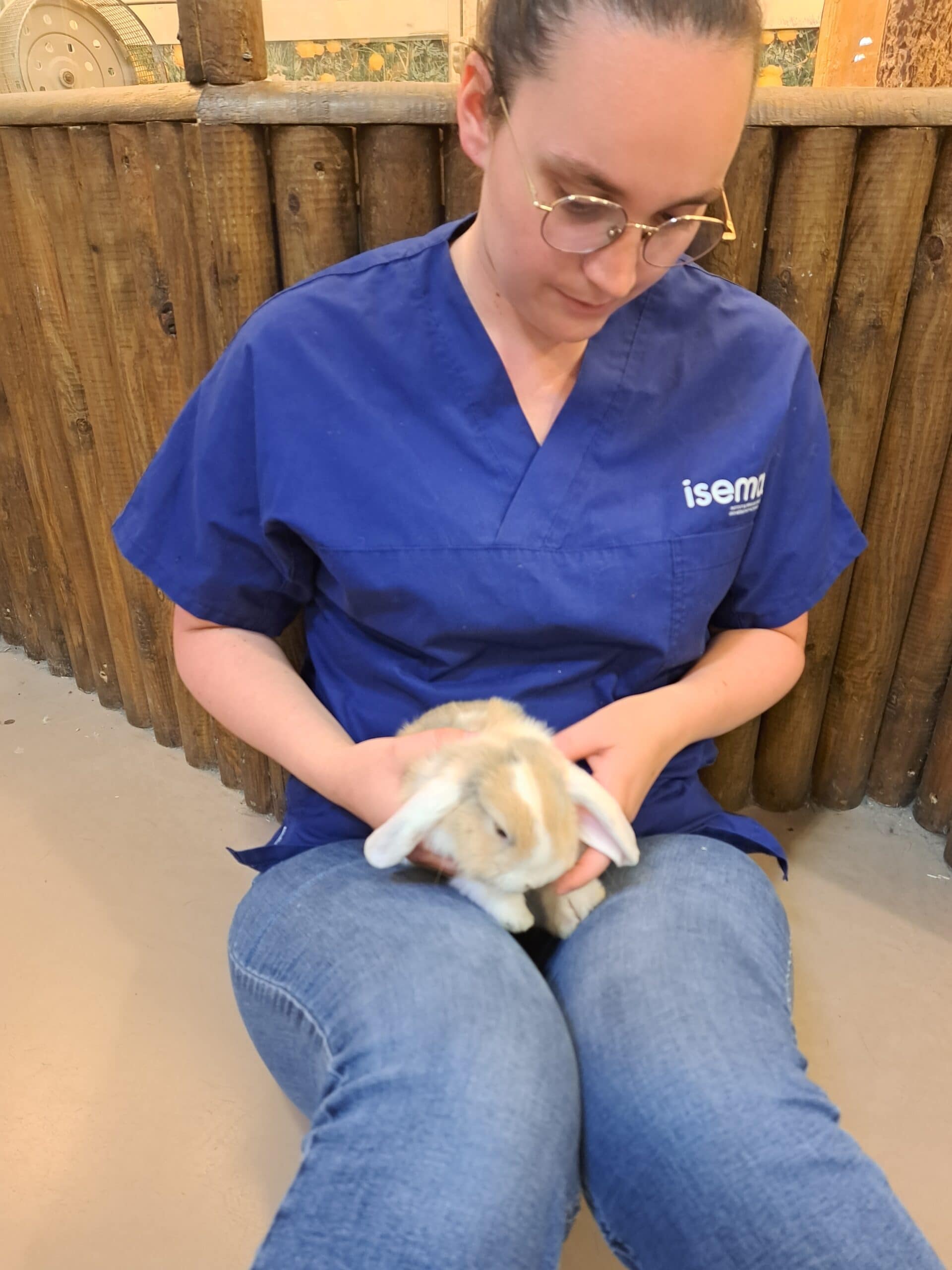 Petit lapin en séance d'ostéopathie