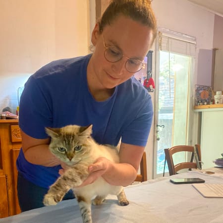 Chat en séance d'ostéopathie