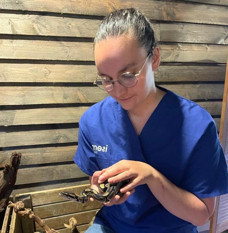 Serpent en séance d'ostéopathie